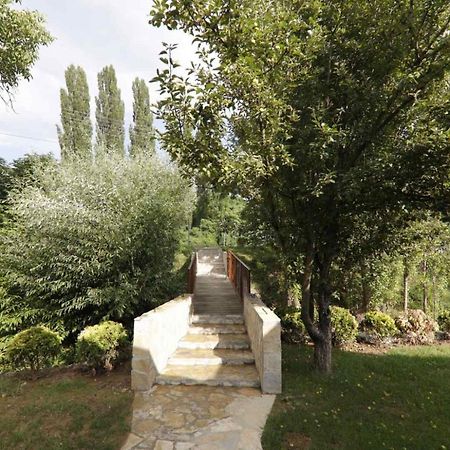 Brvnare Ala Vrdnik Villa Exterior foto