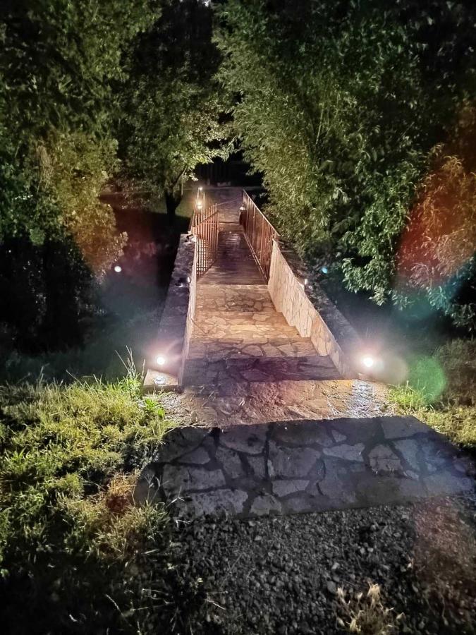 Brvnare Ala Vrdnik Villa Exterior foto